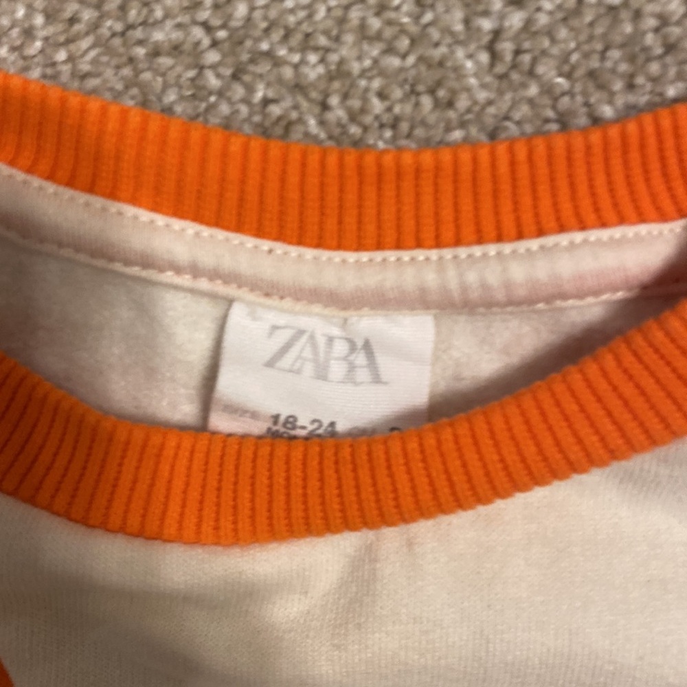 Zara Color Block Sweatshirt - Picture 3 of 4